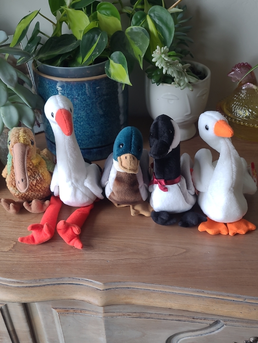 Set of Ty Five Beanie Baby Bird Stuffed Animals
